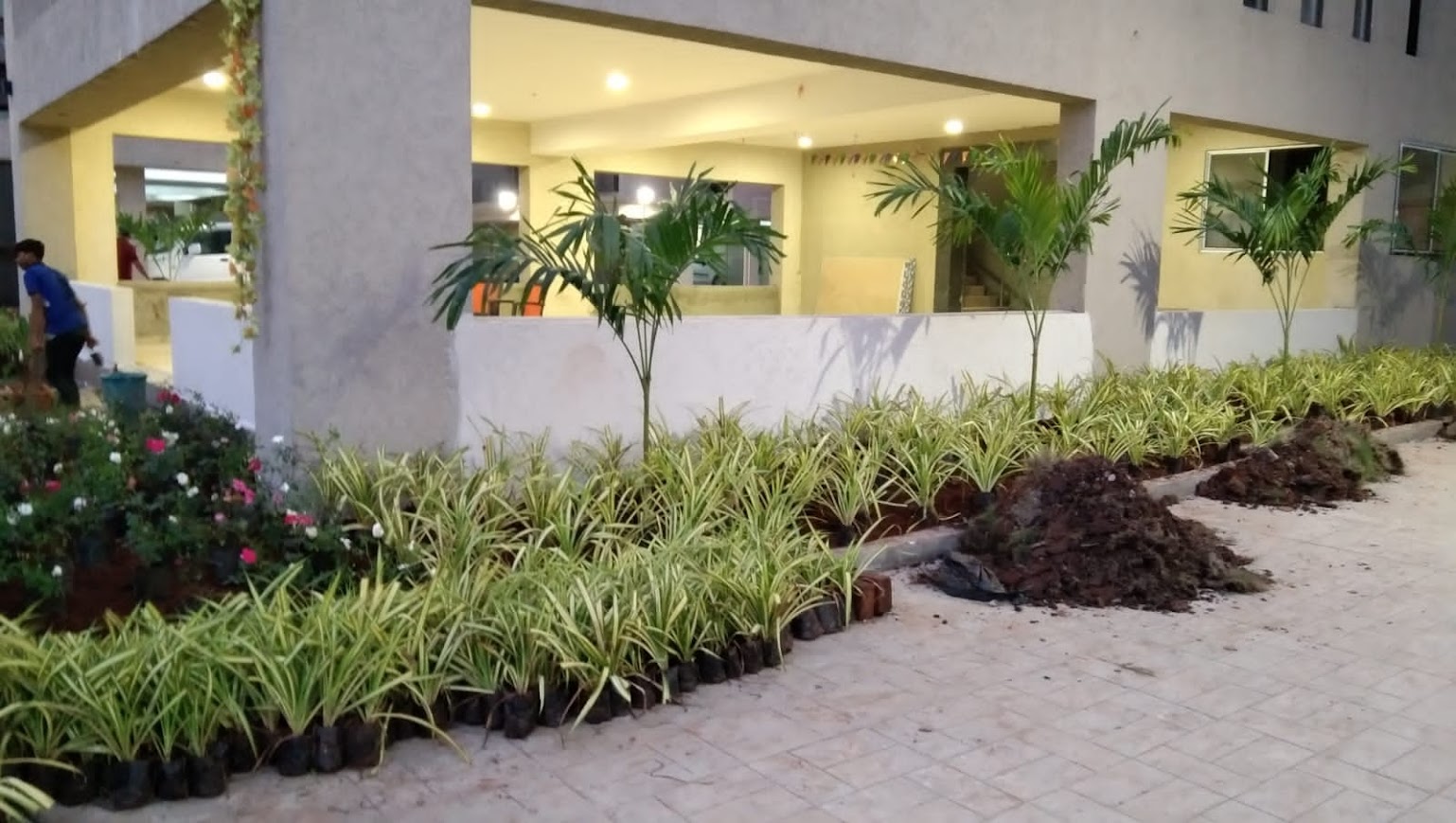 Commercial Project 4